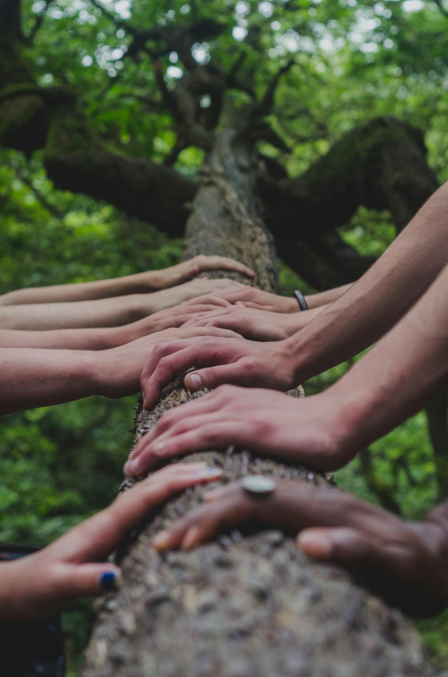 Understanding Different Parenting Styles and Their Impact